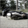 image gallery